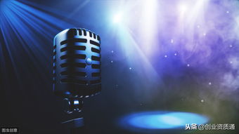 音樂(lè)類網(wǎng)絡(luò)文化經(jīng)營(yíng)許可證審批機(jī)構(gòu)及互聯(lián)網(wǎng)信息咨詢服務(wù)